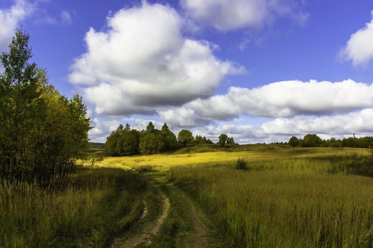 Снится мне деревня блог. И снова снится мне деревня картинки. Снится мне деревня стихи. Снится мне деревня блог. Снится мне деревня фото.