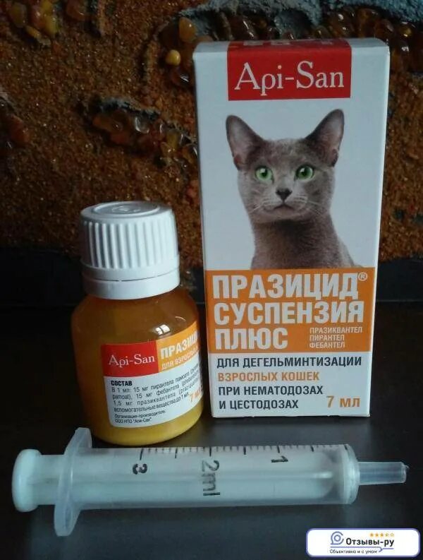 Лекарство для кошек. Кот с лекарствами. Препараты для котов при отравлении. Средство для глистогонки кошек.
