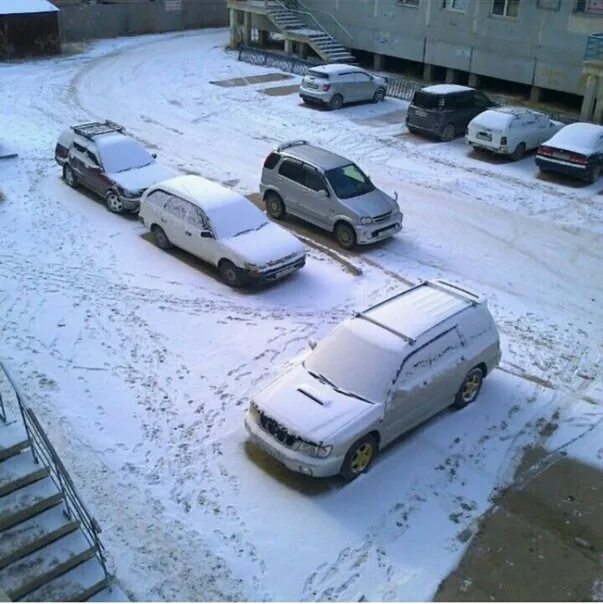 Где выпал снег в россии сегодня. Снегопад в Якутии. Первый снег в Якутии. Снег в Якутске. Якутия снег.