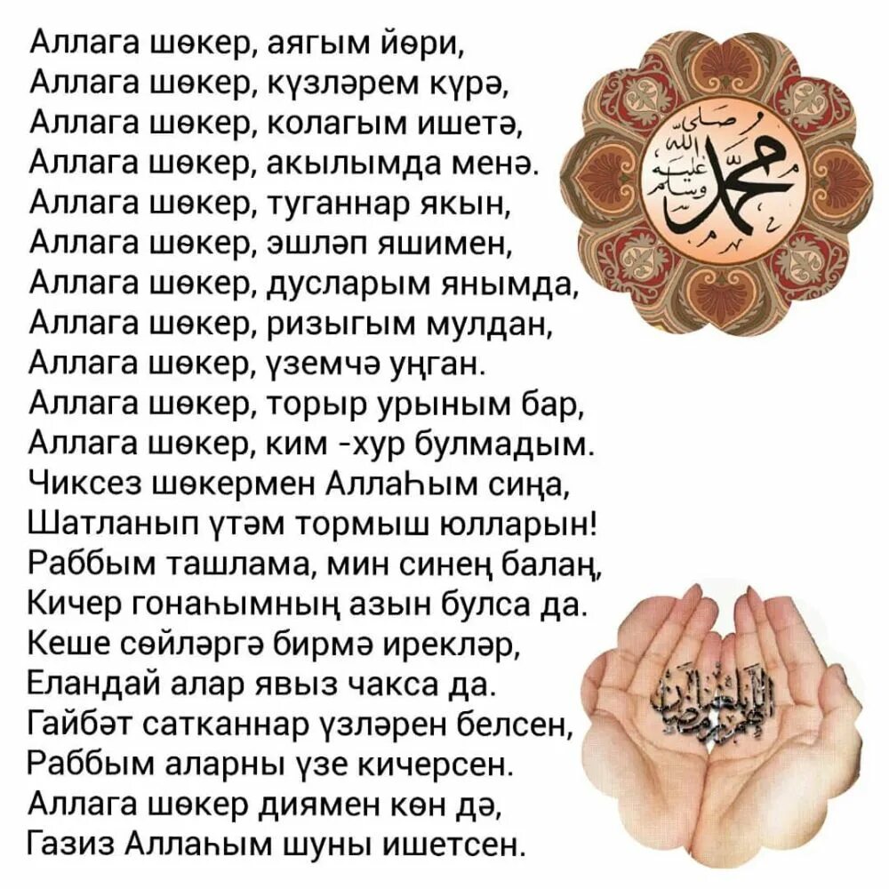 Аллага шекер шекер перевод с татарского. Аллага шөкер картинки на ватсап. Аллага шекер. Татарские стикерсы. Аллага шөкер как правильно произносить.