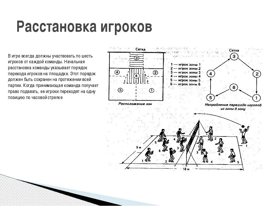 Сколько игроков в волейболе находится на площадке. Схема расстановки игроков на волейбольной площадке. расстановка в волейболе и амплуа игроков. расстановка игроков на поле в волейболе. порядок расположения игроков в волейболе.