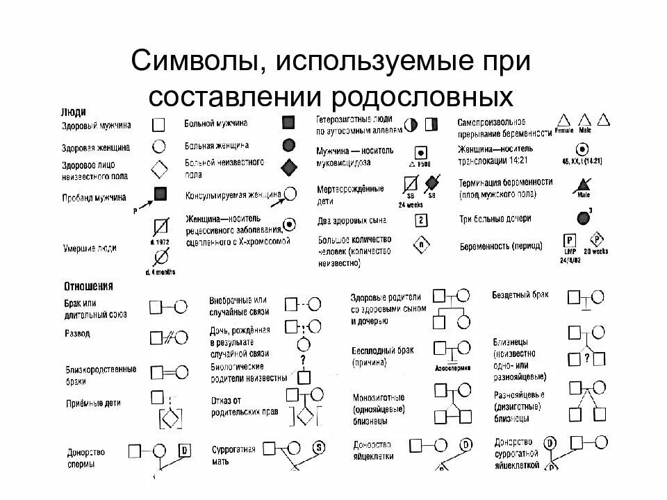 Система символов используемая
