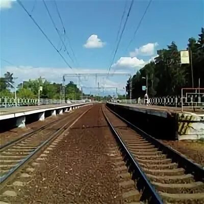 Автобус 37 купавна станция