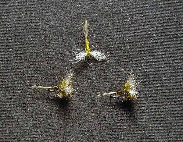 С некоторых пор летают. Свободноживущий ручейник мушка. С некоторых пор летают какие то мушки. Гдз по русскому 6 класс номер 460. Гдз по русскому языку 6 класс ладыженская упражнение 460.