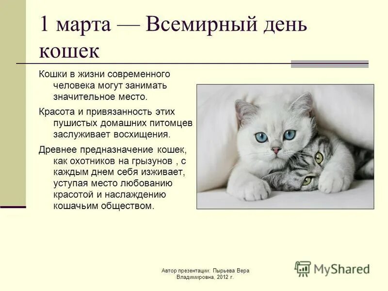 День кошек презентация. Всемирный день котов. День кошек информация