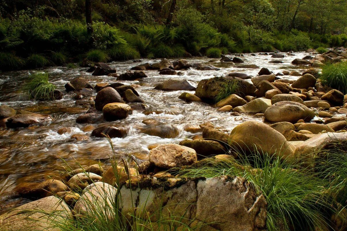 по песку течет река. коса на реке. бузулук река бузулук. река песок. ручей в долине израиль.