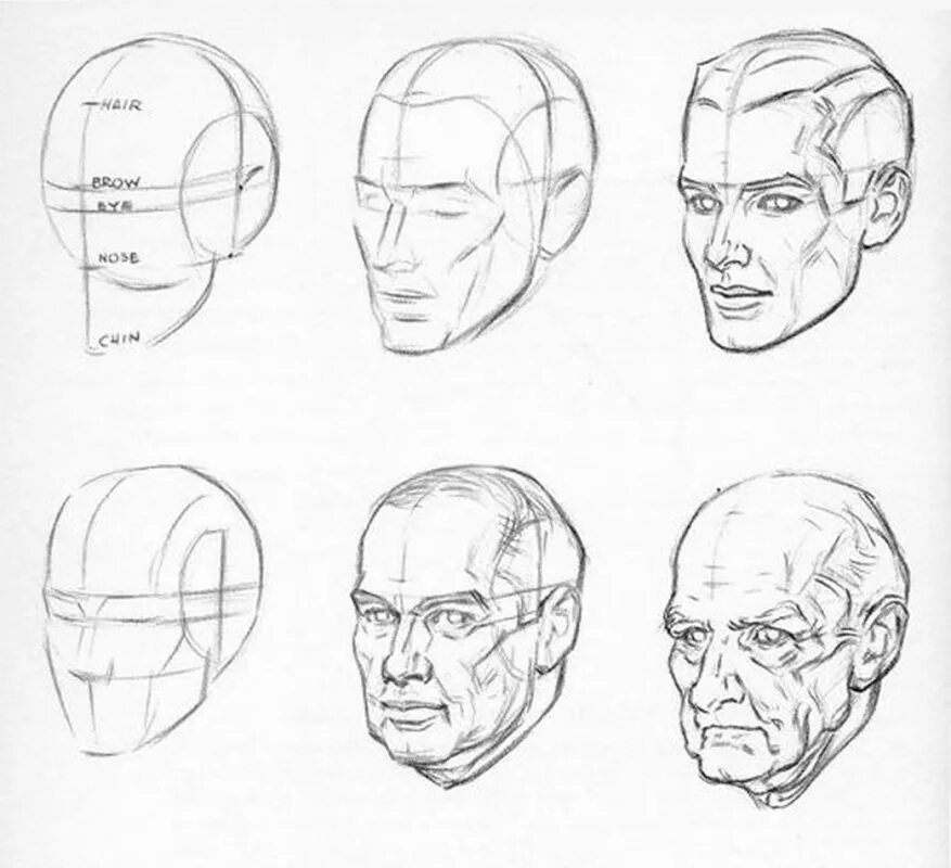 Лицо рисунок поэтапно. Эндрю Лумис пропорции головы. Рисование головы человека. Этапы рисования головы. Схема рисования лица.