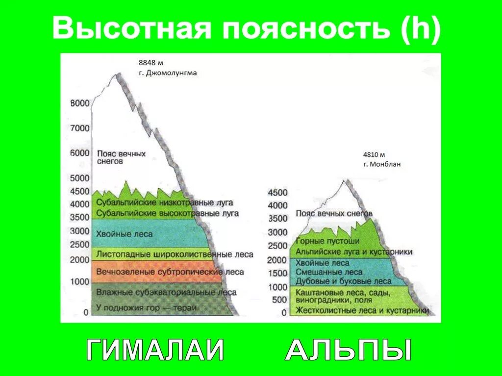 Высотная поясность Евразии 7 класс география. Высотная поясность горы Джомолунгма. Области ВЫСОТНОЙ поясности пояс. Высотная поясность Альпы схема. Сколько высотных поясов в горах