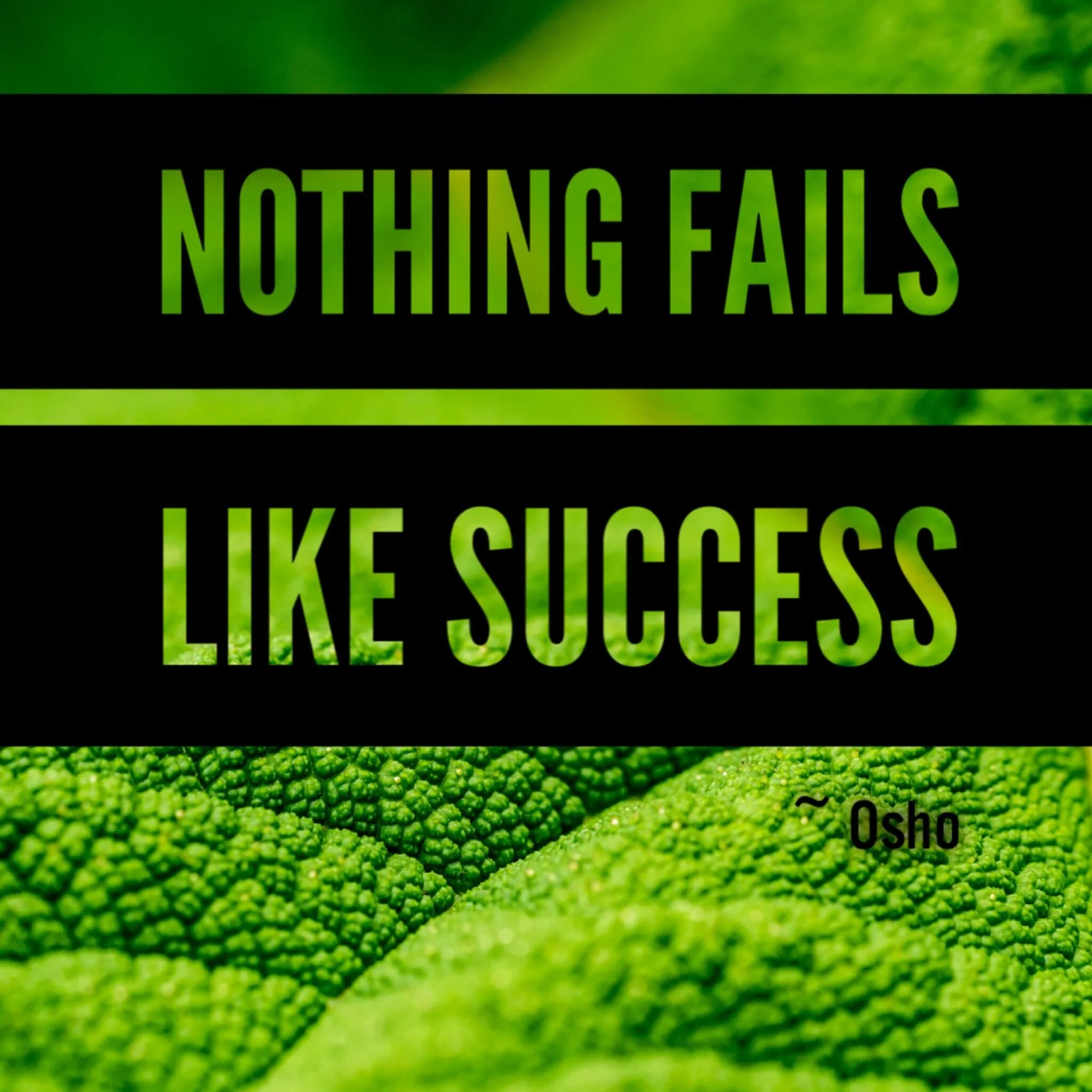 Мадонна информация на англи. Madonna - american life обложка. Madonna - love profusion (ralphi rosario house vocal edit). Madonna nothing fails. Nothing fails перевод.