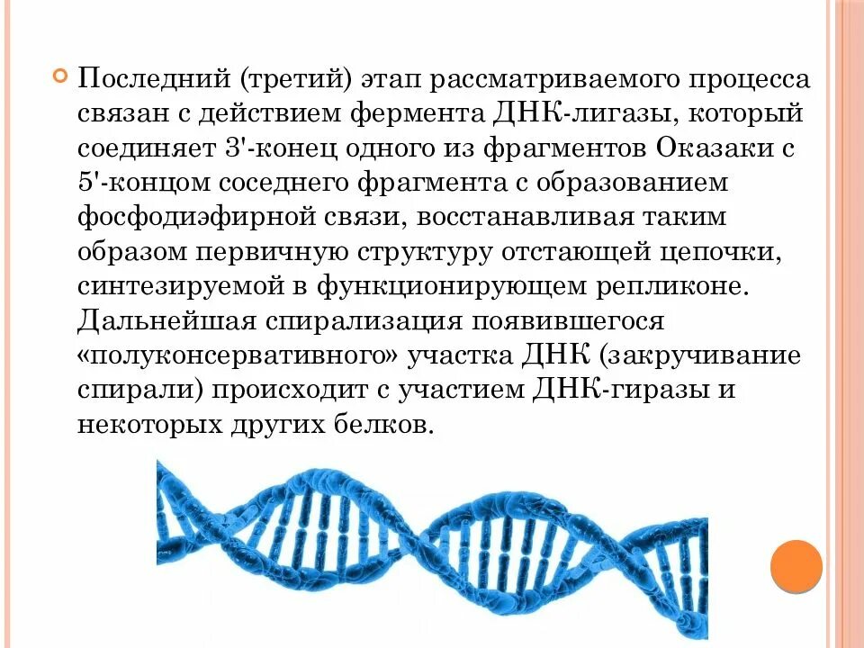 ДНК расшифровка. Молекулярная структура ДНК расшифрована. Как расшифровывается ДНК человека. Как переводится ДНК расшифровывается.