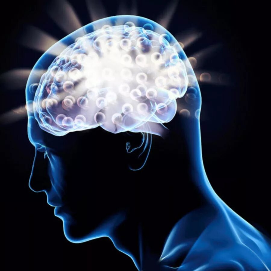 Интеллект эрудиция