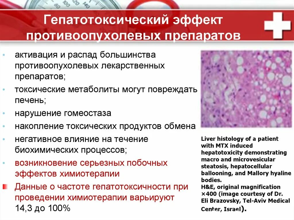 Гепатотоксический эффект. Препараты обладающие гепатотоксическим действием. Гепатотоксичные лекарственные средства. Список гепатотоксичных препаратов.