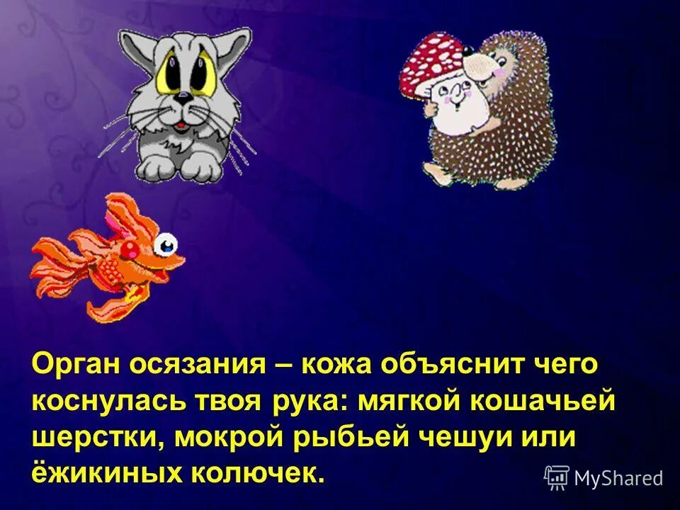 Тактильные ощущения. Презентация на тему осязание. Гигиена орган осязания рисунок. Предложение со словом осязание 3 класс. Орган осязания информация.