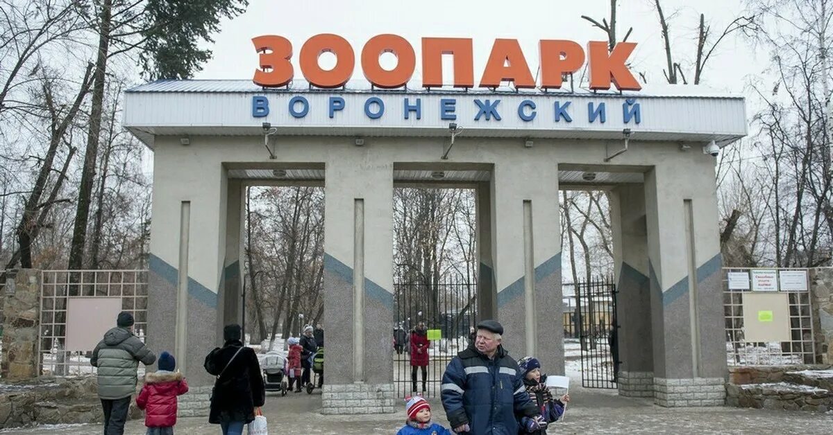 Зоопарк попова. Зоопарк имени Попова в Воронеже. Зоопарк.Воронежск Воронежский зоопарк. Парк Авиастроителей Воронеж зоопарк. Зоопарк Воронеж Полины Осипенко.