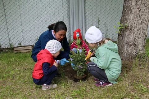 Бережное отношение ребенка к природе
