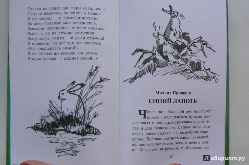 Синий лапоть кратчайшее содержание. Иллюстрация пришвин синий лапоть. пришвин м синий лапоть. книга пришвина синий лапоть. иллюстрация к рассказу синий лапоть пришвин.