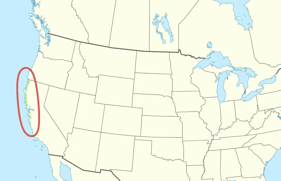 Coast range. Coastal ranges on the map. coast redwood перевод.