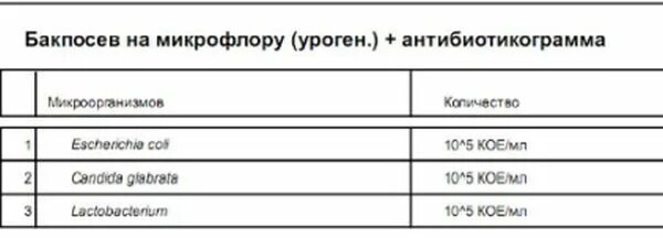 Бак посев мочи при беременности сколько. Бак посев норма при беременности. норма бак посев мочи при беременности норма. моча на бак посев расшифровка анализа. бак посев мочи показатели нормы таблица.
