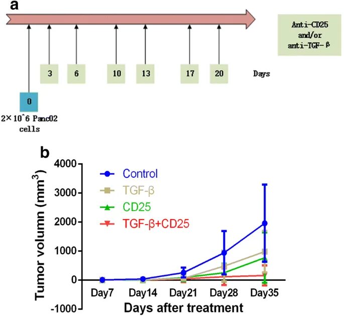 Cd25. Cd4 cd25. CD 25 функция. Anti-cd6. Cd 25 6