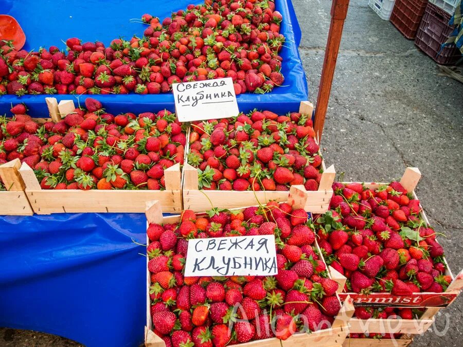 Клубника на рынке. Клубника на рынке. Базар клубники. Клубника на прилавке. Клубника на прилавках магазинов.