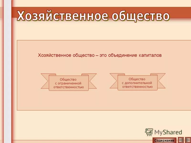 Хозяйственные организации это акционерное общество