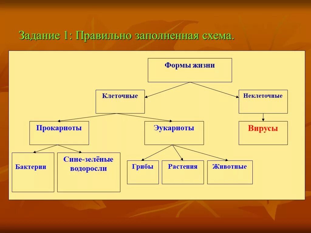 Жизненные формы клетки. Неклеточные и клеточные формы жизни схема. Формы жизни схема. Формы жизни клеточные и неклеточные таблица. Формы жизни биология.