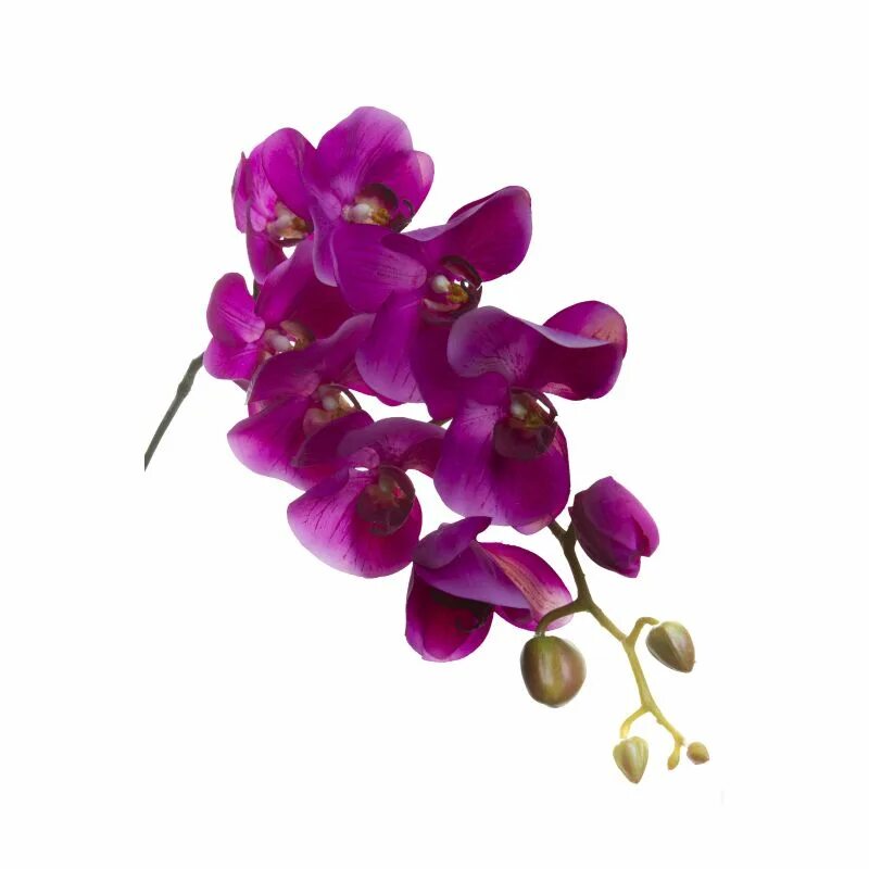 Сиреневая Орхидея искусственная. Искусственные орхидеи фиолетовые. Оранжевая Орхидея. Орхидея фиолетовая с белым бархатистая.