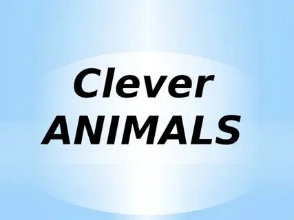 Clever animals 3 класс