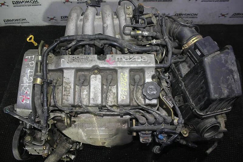 двигатель мазда премаси fp-de. двигатель mazda fp de. 8 мазда капелла. купить контрактный двигатель в омске на мазду капелла gf8p. 8.