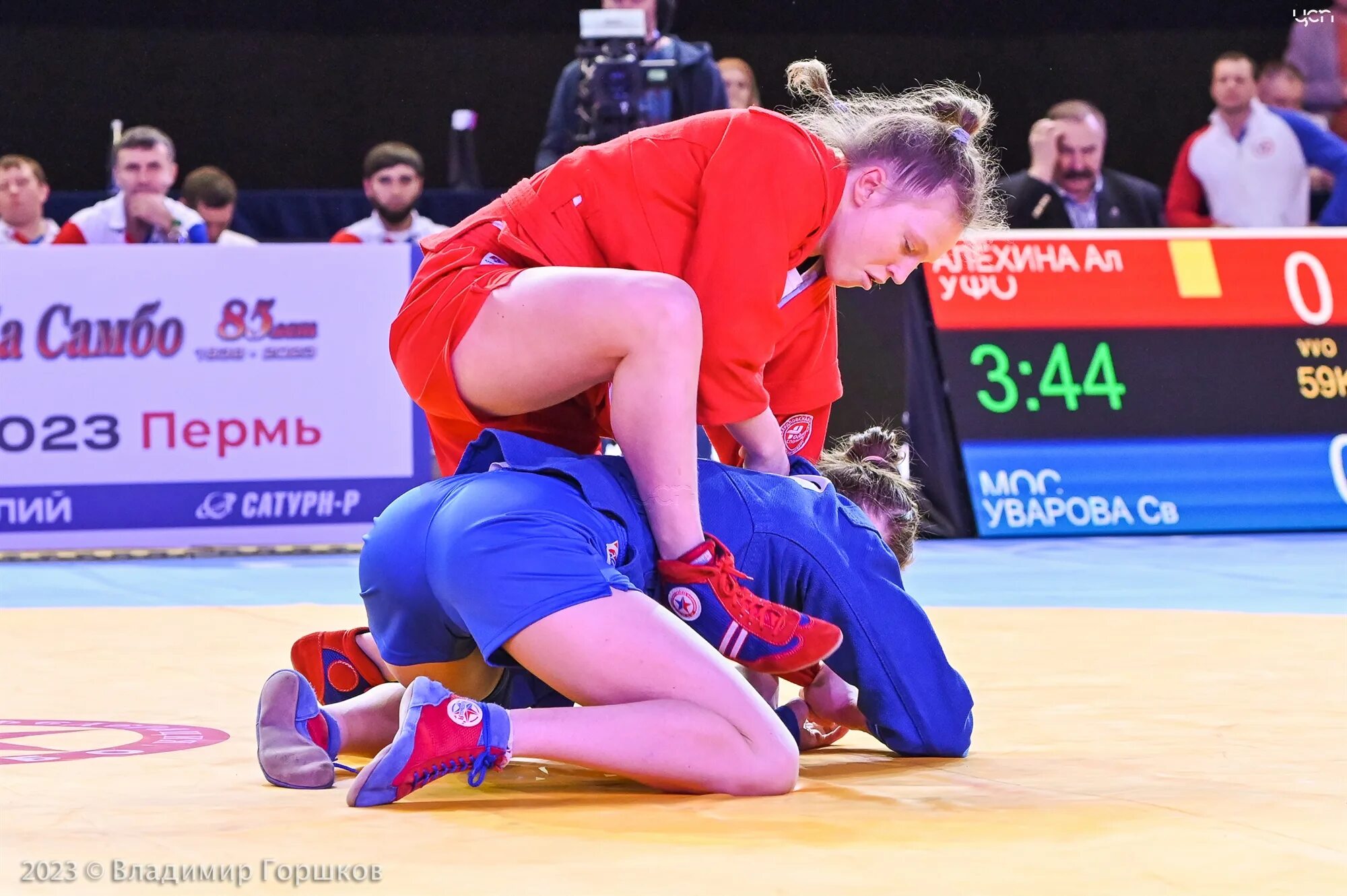 Кубок россии по самбо 2021 кстово прямая трансляция боевое самбо 64 кг. Самбо 71. Самбо 71. Кубок россии по самбо 71 кг кстово. Самборский самбо тула.
