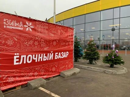Время работы елочных базаров