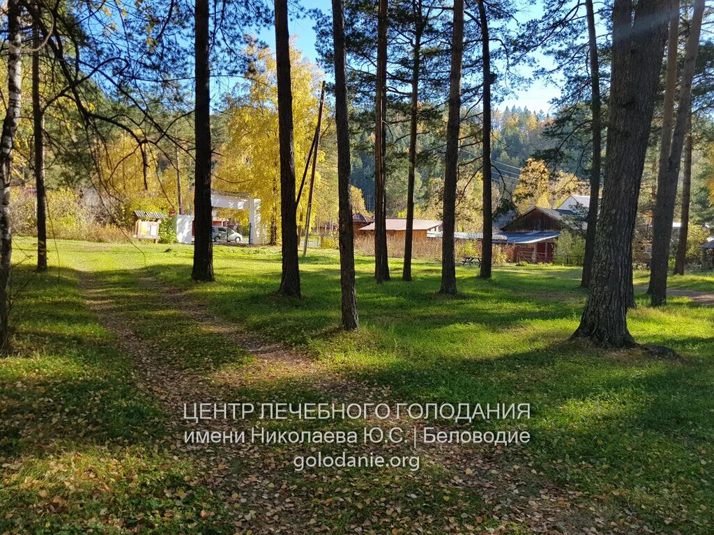 Центр лечебного голодания. Беловодье алтай лечебное голодание. лечебное голодание санаторий алтай. беловодье горный алтай центр голодания. центр лечебного голодания им николаева.