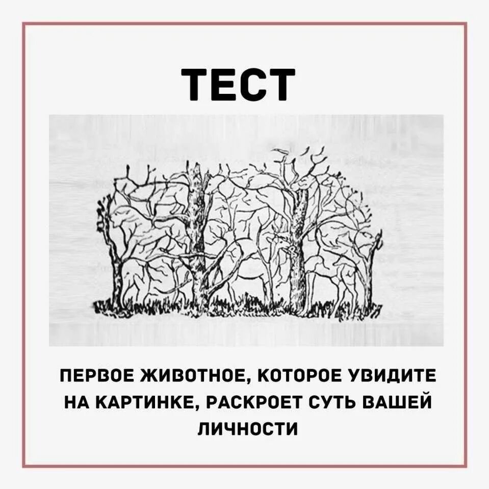 Тест в какой сад ты придешь. Психологические тесты. интересные тесты. психологические тесты ы. интересные тесты в картинках.