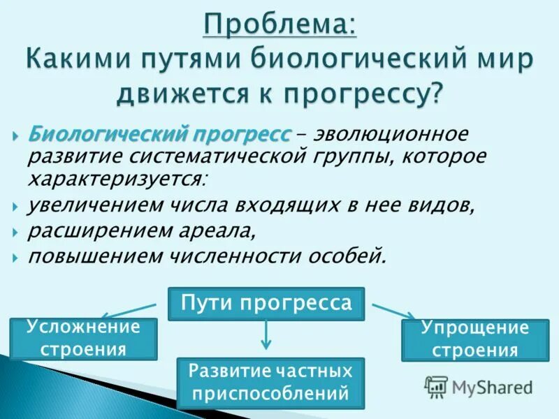 Систематика и эволюция растений. Б. Чарльз дарвин теория эволюции. Макроэволюция и микроэволюция биология 9 класс. Эволюционное развитие систематической группы увеличение числа.