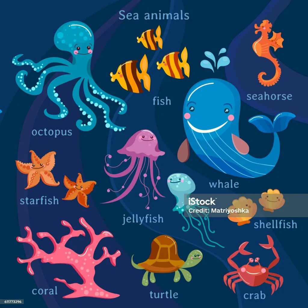 Медуза морская осьминог. Медузы и рыбки. Осьминог подводный мир иллюстрация. Осьминог и рыбка.