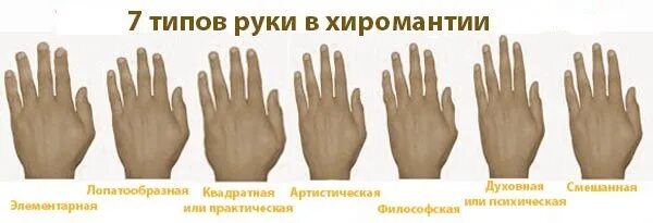Типы рук. Типы рук в хиромантии. Хиромантия форма ладони. Форма рук.