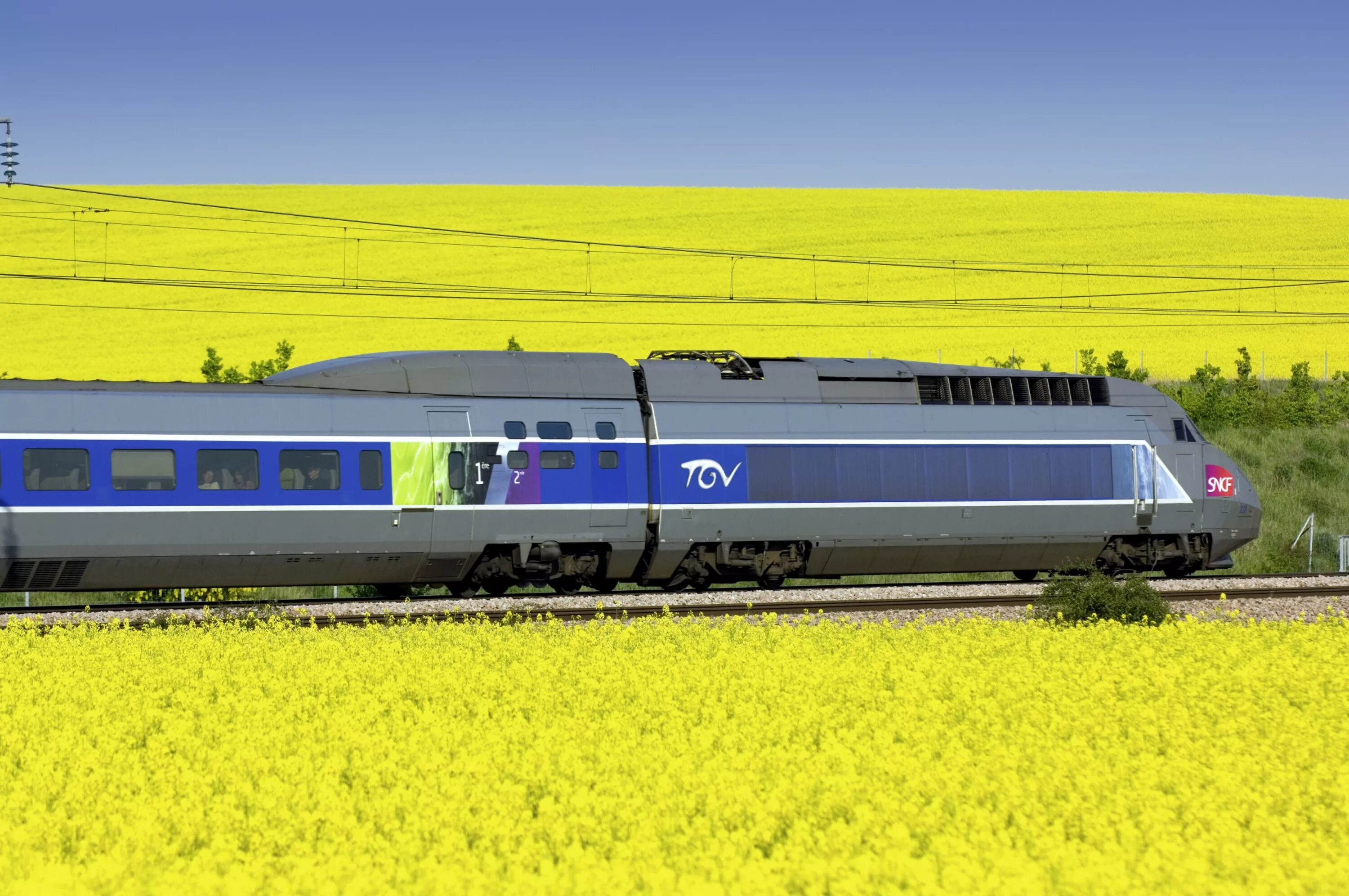 Поезд ТЖВ Франция. Поезд TGV Франция. Скоростной поезд TGV Франция. Французский поезд TGV.