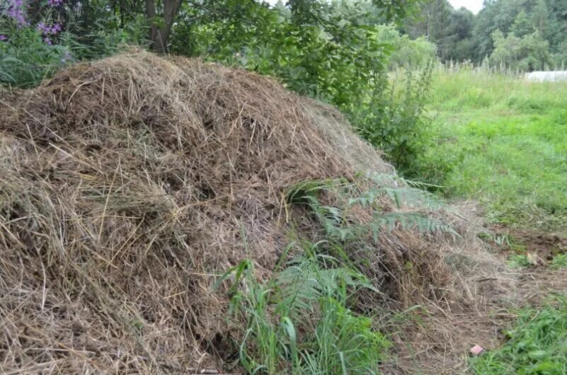 Козий навоз. Навоз коровий. Навоз с соломой. Конский навоз в мешках с опилками. Кучка навоза.