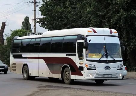 Автовокзал ростов тихорецк