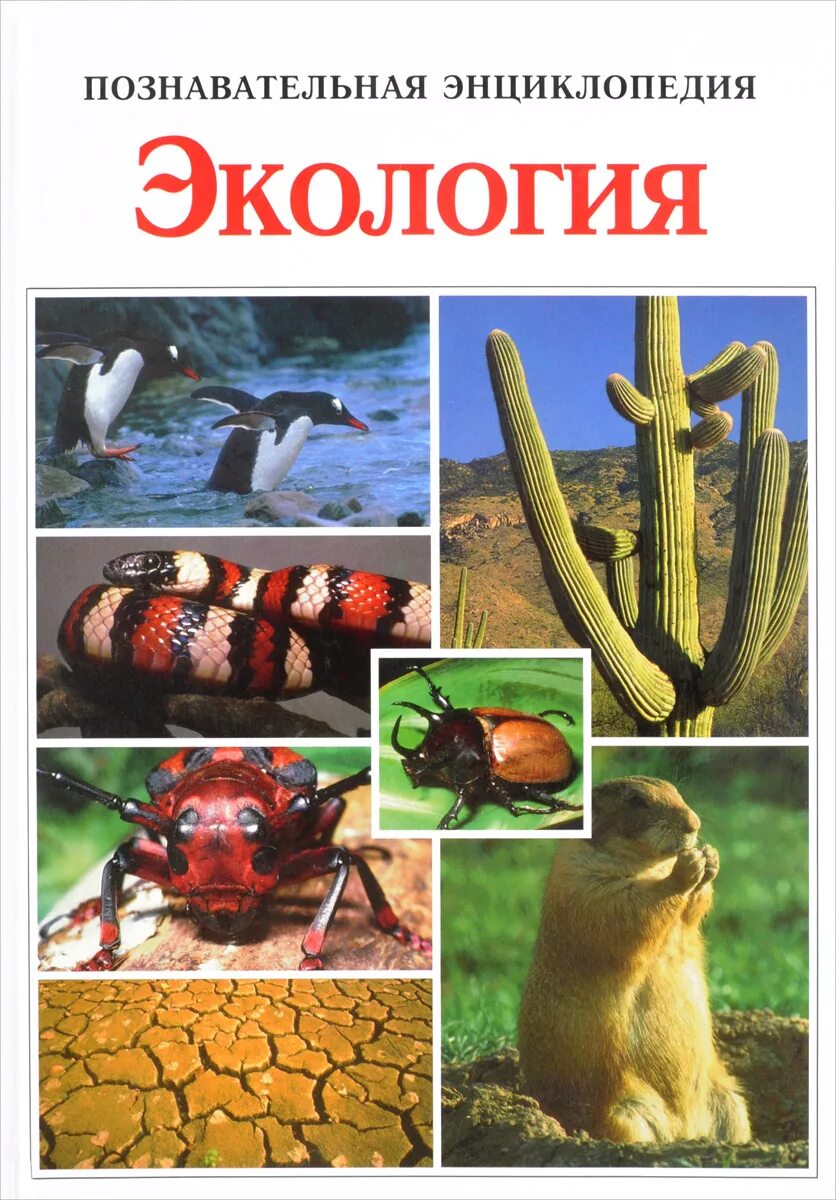 Экология учебники читать. Книги по экологии. Книги про экологию. Экология познавательная энциклопедия. Энциклопедия по экологии.