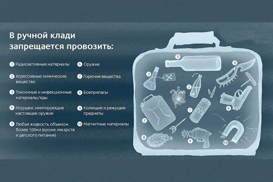 Можно ли цветы в ручной клади