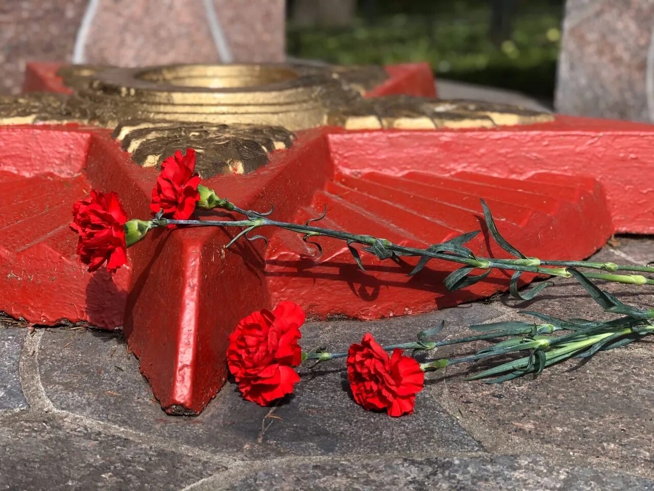 день неизвестного солдата. память воинам великой отечественной войны. гвоздики на мемориале. памяти павшим в великой отечественной войне. память погибшим на войне.