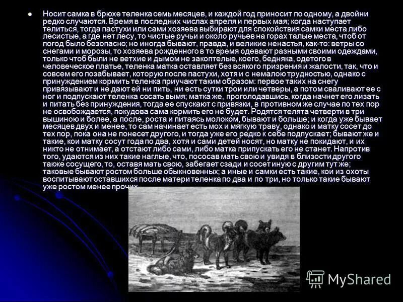 Пословицы и поговорки про ласточку. Выходные в апреле 2020. Последних числах апреля. Праздники в сентябре церковные православные. Магнитные дни в апреле.