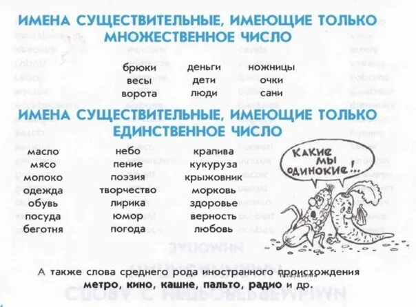 Слова употребляющиеся только во множественном. Слова только во множественном числе. Слова только в единственном числе в русском языке. Слова которые употребляются только в единственном числе. Слова только множественного числа в русском языке.