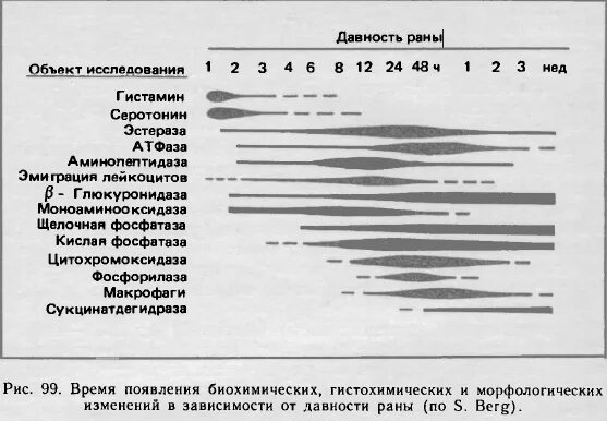 Прижизненность и давность раны. Прижизненность повреждений. Давность повреждения мягких тканей. Гистологические признаки давности повреждений.