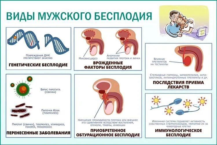 Секреторная форма мужского бесплодия. Классификация мужского бесплодия. Причины мужского бесплодия. Причины бесплодия классификация. Бесплодие у мужчин после