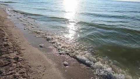 Опасно ли азовское море