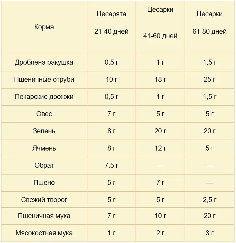 Цесарь птица. Цесарки вес. Цесарка яичной породы. Цесарки вес. Цесарки вес.