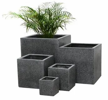 Plant cube