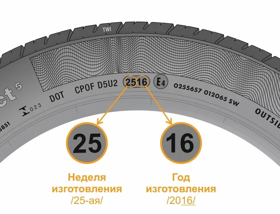 Дата шины где указывается